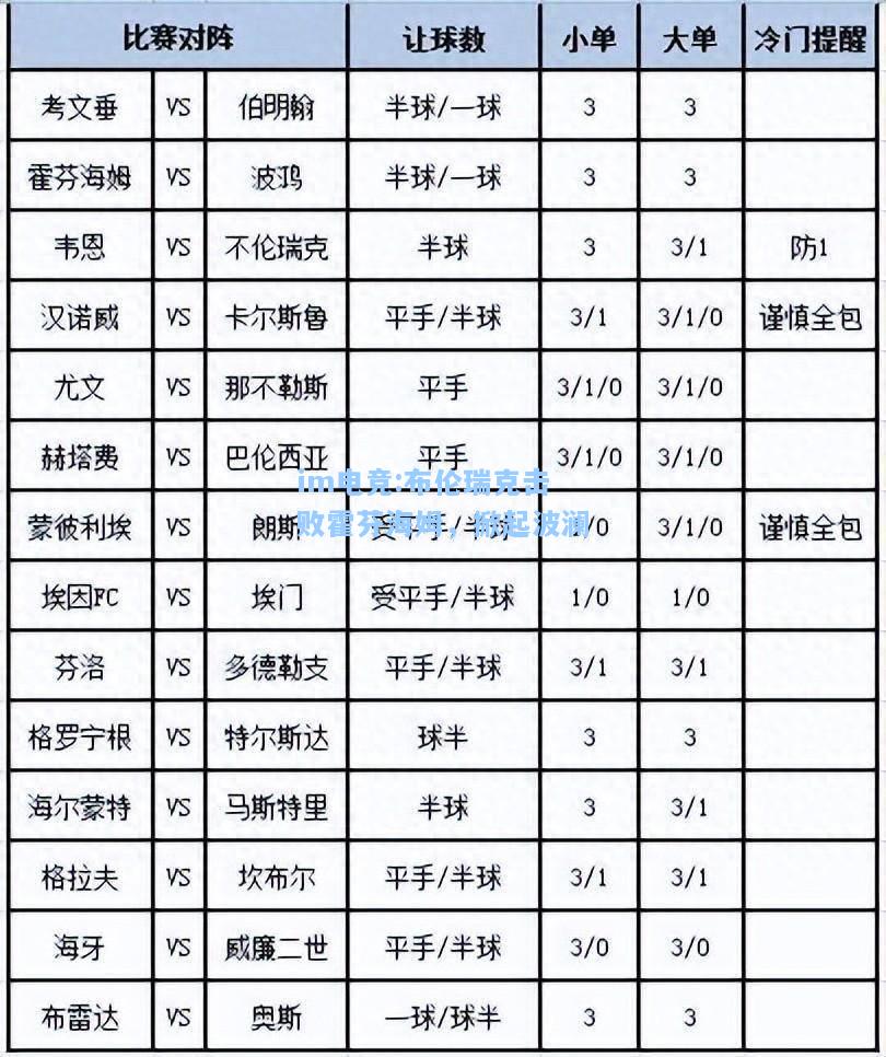 布伦瑞克击败霍芬海姆，掀起波澜